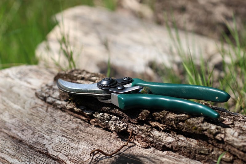 Pruning Schedule